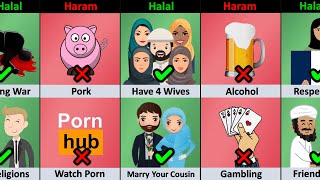 Halal vs Haram In Islam Religion [upl. by Theron]