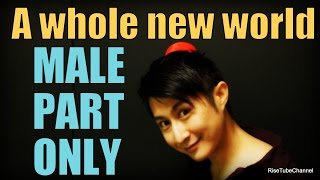 A whole new world KaraokeMALE part vocals only  男性（アラジン）パートのみ [upl. by Avner]