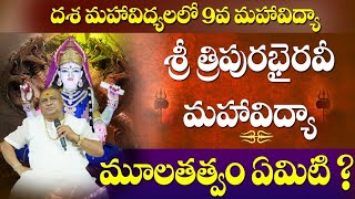 శ్రీ త్రిపుర భైరవీ దేవి మహావిద్యా  Sri Tripura Bhairavi Mahavidya  Dasha mahavidya  Siddhaguru [upl. by Ohcamac]