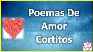 Poemas De Amor Cortitos Para Enamorar A Mi Novia [upl. by Gyimah]