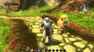 Kingdoms of Amalur Reckoning Combo Builds [upl. by Erialc]