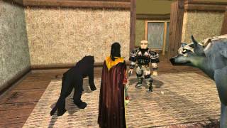 Lets Play Neverwinter Nights 062 Krestal [upl. by Eloken]