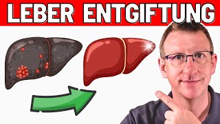 TOP 10 EntgiftungsTipps für Deine LEBER  Arzt erklärt [upl. by Adelind70]