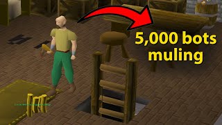 Jagex has Given F2P RuneScape to the Botters [upl. by Charmion]