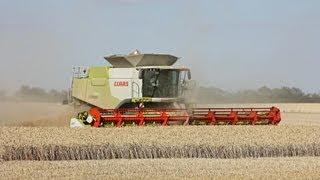 Moisson 2011 NEW Claas Lexion 770 TerraTrac V1200  wheat harvest [upl. by Moran]