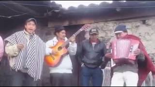 Mira así ase llorar a un acordeón y 🎸 los amigos de cusubamba mosaico donde venderán un trago [upl. by Yrocal]