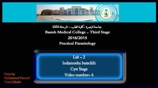 6 Practical Parasitology Iodamoeba Butschlii  Cyst Stage [upl. by Yliak]