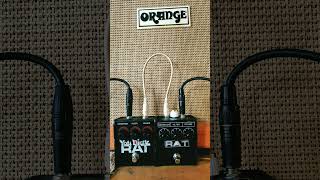 You Dirty Rat  Proco Rat 2 both PPPC Pedals SAG Mod doom fuzz procorat stoner matamp sleep [upl. by Freyah]