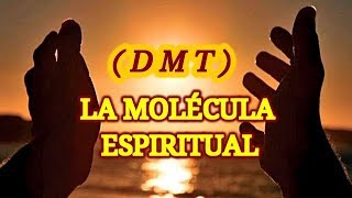 DMT  DIMETILTRIPTAMINA  COMO LIBERARLA DE FORMA NATURAL [upl. by Garfield]