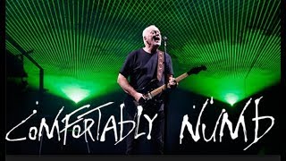 David Gilmour quot Comfortably Numb quot Royale Albert Hall 2006 [upl. by Hsirrehc504]