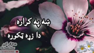 kha pa qarara da zra takora  ښه کراره دا زړه ټکوره  پښتو ترانه [upl. by Ariay]