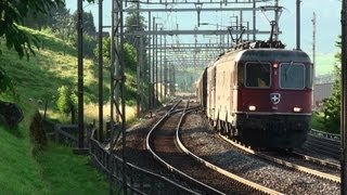 Schweizerische Re1010  SBB Re 66 11613 und Re44 in Immensee am Zuger See [upl. by Nathanil]