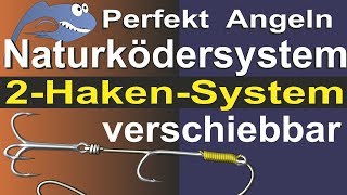 Perfekt Angeln  2 Haken Naturködersystem verschiebbar Angelknoten Montage Bindeanleitung Tipps [upl. by Tnomyar]