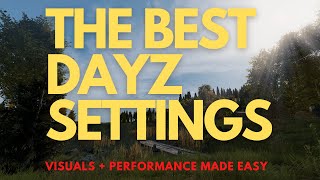 The BEST DayZ settings for Graphics PVP AND Performance 2024 [upl. by Cohin]