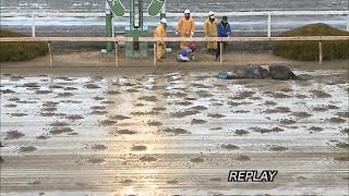 20150115 園田競馬8R 落馬事故 [upl. by Stearne840]