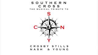 Straz Center  The Definitive Tribute to CSNY Featuring Southern Cross [upl. by Arba]