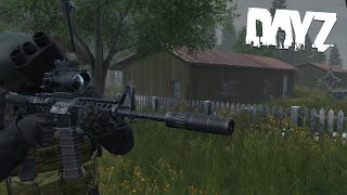 Becoming the MOST LETHAL Solo Survivor in DayZ [upl. by Nyladgam]