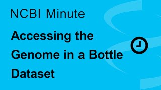 The NCBI Minute Accessing the Genome in a Bottle Dataset [upl. by Dinesh]