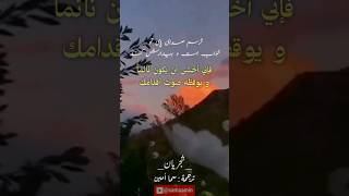 يارم به يک لا پیراهن شجريان مترجم للعربية iranianmusic [upl. by Annaliese]