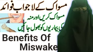 Miswak Ke Fayde  Benefits Of Miswak [upl. by Ahsenre]