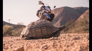 South African Solo Motorcycle Adventure [upl. by Vilberg]