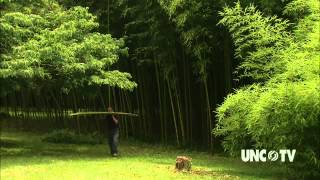 Bamboo Country from OUR STATE [upl. by Mackie]