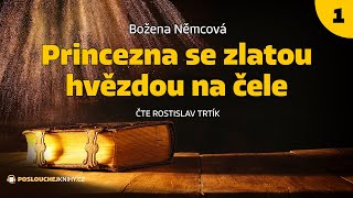 Božena Němcová Princezna se zlatou hvězdou na čele 13 [upl. by Dittman451]