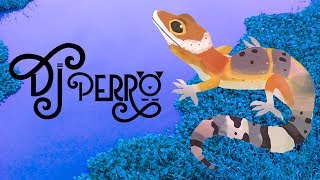 DJ Perro  Gecko Lyric Video [upl. by Enymzaj]