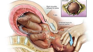 The Marvelous Process Of Child Birth👣 [upl. by Geneva]