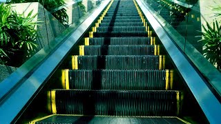 Escalator in 3ds max [upl. by Etom187]