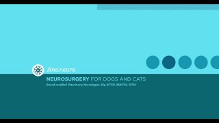 Neurologia veterinaria preguntas en Vivo [upl. by Rehpotsirahc]