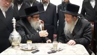 Toldos Tzvi Spinka Rebbe Visits Satmar Dayan OF Manchester  Adar II 5784 [upl. by Adiahs]