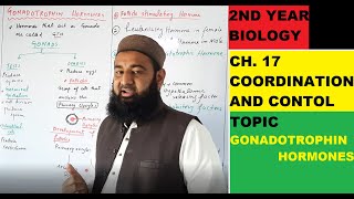 Biology Ch17Lecture22 PART 2 GONADOTROPHIN HORMONES OF PITUITRY GLAND FSc 2nd Year [upl. by Consolata]