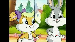 Baby Looney Tunes ITA Caccia alla copertina Parte 13 [upl. by Esinaej]