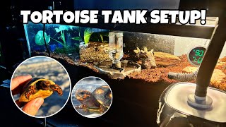 Setting Up My Red Footed Tortoise Tank [upl. by Asilec318]