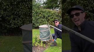 Removing This Spiky Holly Tree removal diygarden diy satisfying stihl lawncare lawn yes [upl. by Mohkos]