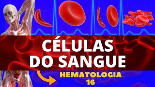 CÉLULAS DO SANGUE E SUAS FUNÇÕES COMPOSIÇÃO SANGUÍNEA  HEMATOLOGIA [upl. by Mahmoud]