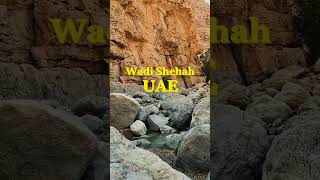 A UAE Wadi hike but make it ✨Wes Anderson✨ style wadiadventures wadihike wadi outdooradventure [upl. by Tye858]