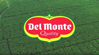 Fresh Del Monte Produce Inc Corporate Video [upl. by Ibbie]