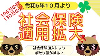 【106万の壁130万の壁】社会保険適用拡大における短時間労働者で気を付けなければいかないこととは？106万円130万円壁社会保険2024年10月 [upl. by Fabiano]