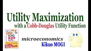 【wizardry】Utility Maximization with a CobbDouglas Utility Function [upl. by Ialohcin]