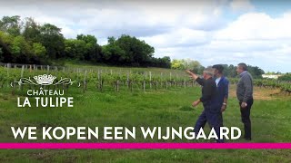 We kopen een wijngaard [upl. by Herodias]