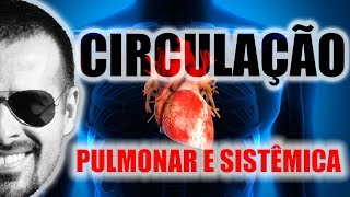 Sistema Circulatório Circulação pulmonar e circulação sistêmica esquema didático  VideoAula 004 [upl. by Phemia]