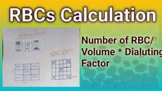 RBCs Calculation Formula hematology microscope dmlt Bsmlt [upl. by Lleraj]