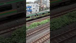 【４K映像】湘南新宿ライン 上り電車 ShonanShinjuku Line inbound train [upl. by Siobhan]