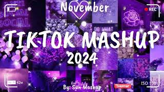 Tiktok Mashup November 💜2024💜 Not Clean [upl. by Anselmo14]