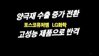 양극재 수출 증가 전환 포스코퓨처엠 LG화학 고성능 제품으로 반격 [upl. by Aurore]