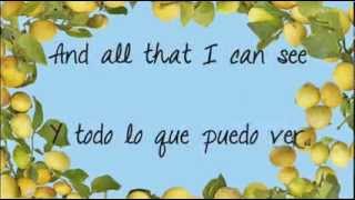 Fools Garden  Lemon Tree Lyrics subtitulada y traducida al español [upl. by Jeno516]