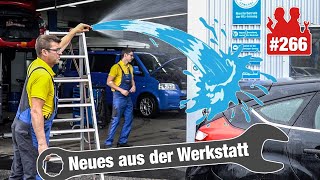 Mit Endoskop und Basti im Kofferraum Holger sucht die undichte Stelle im Ford Focus 💦🧐 [upl. by Gonzalez]