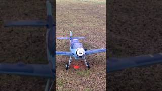 rc Bf 109 rc warbird grass landing shorts [upl. by Oag345]